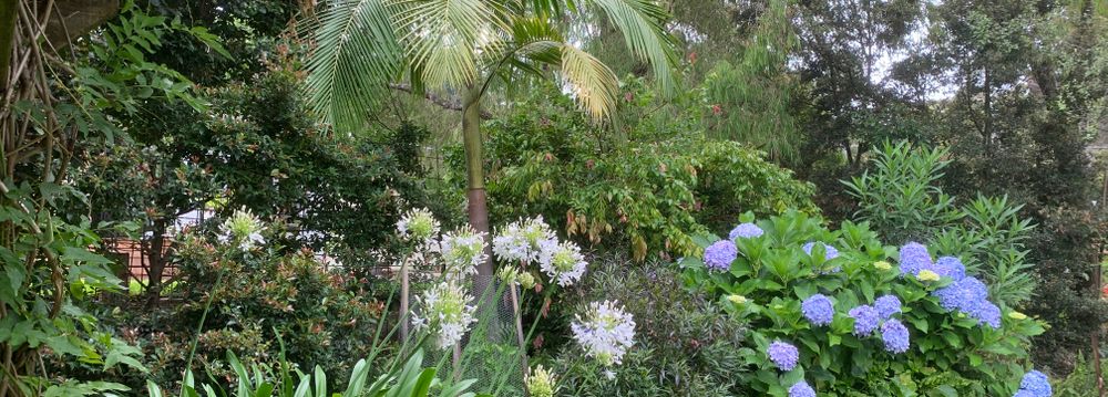  Jervis Bay Realty Holidays: Blenheim Beach Blue Jervis Bay accommodation in Vincentia