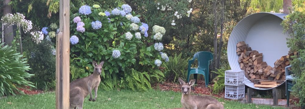  Jervis Bay Realty Holidays: Blenheim Beach Blue Jervis Bay accommodation in Vincentia