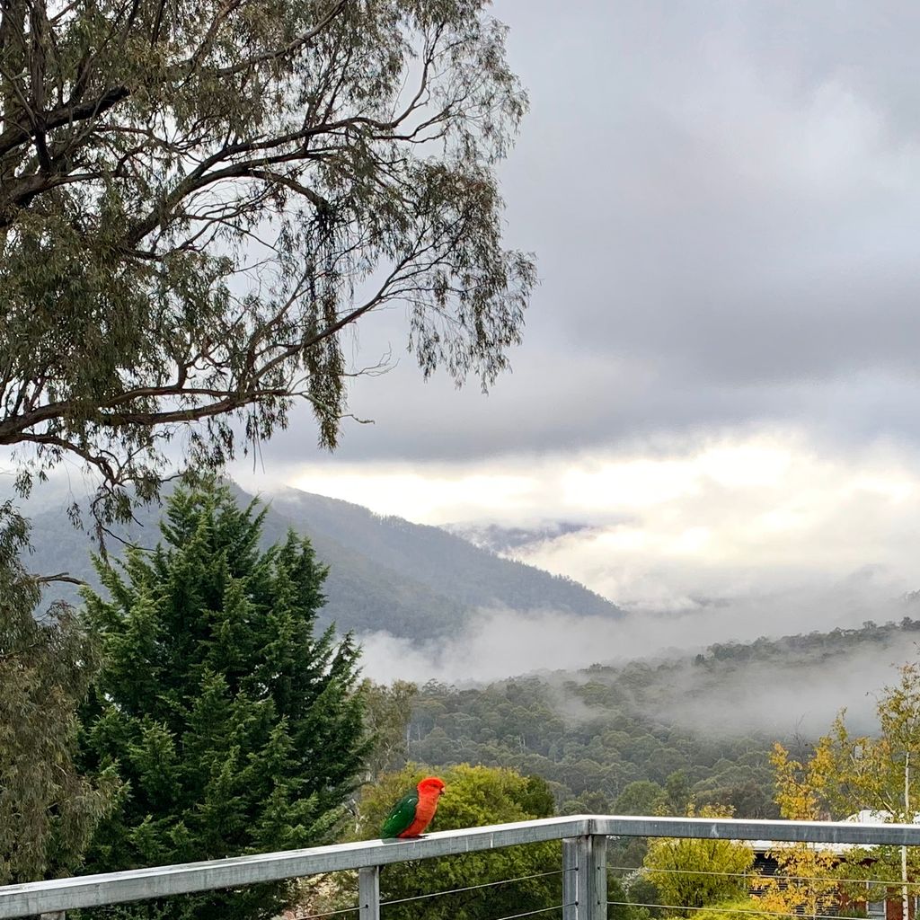Black Diamond – Merrijig – Sleeps 14