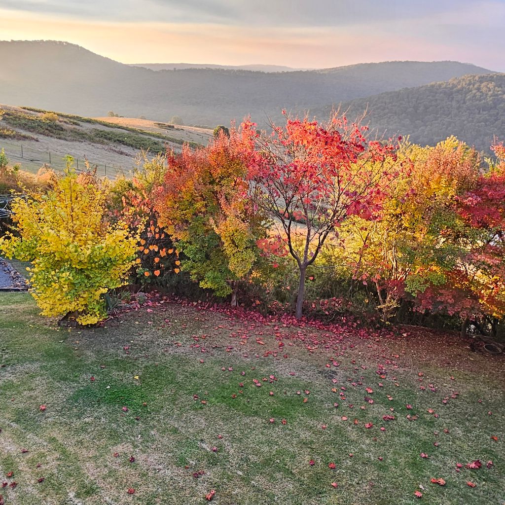 Alpine Retreat – Merrijig – Sleeps 12