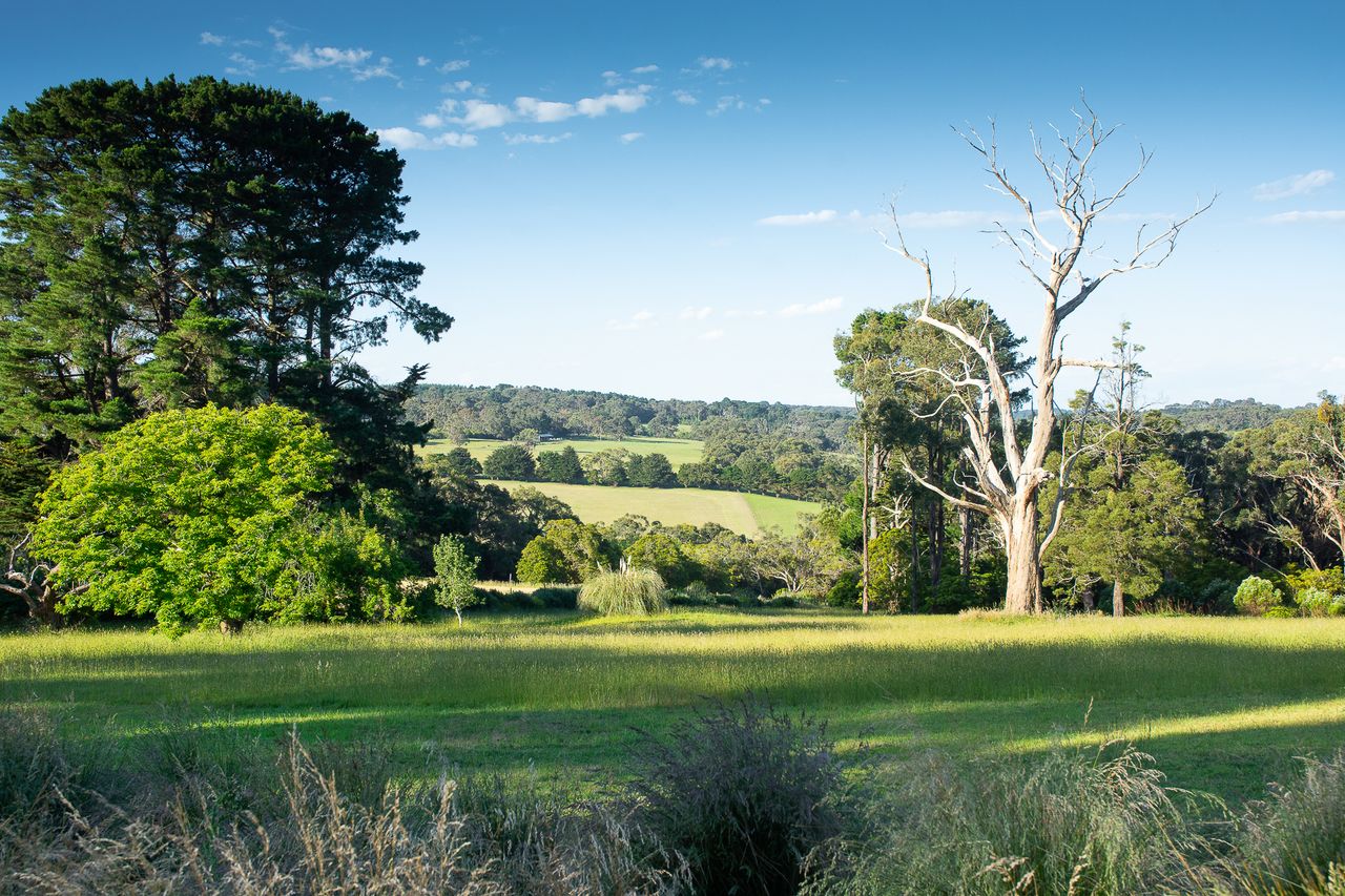 Walden Photo 5