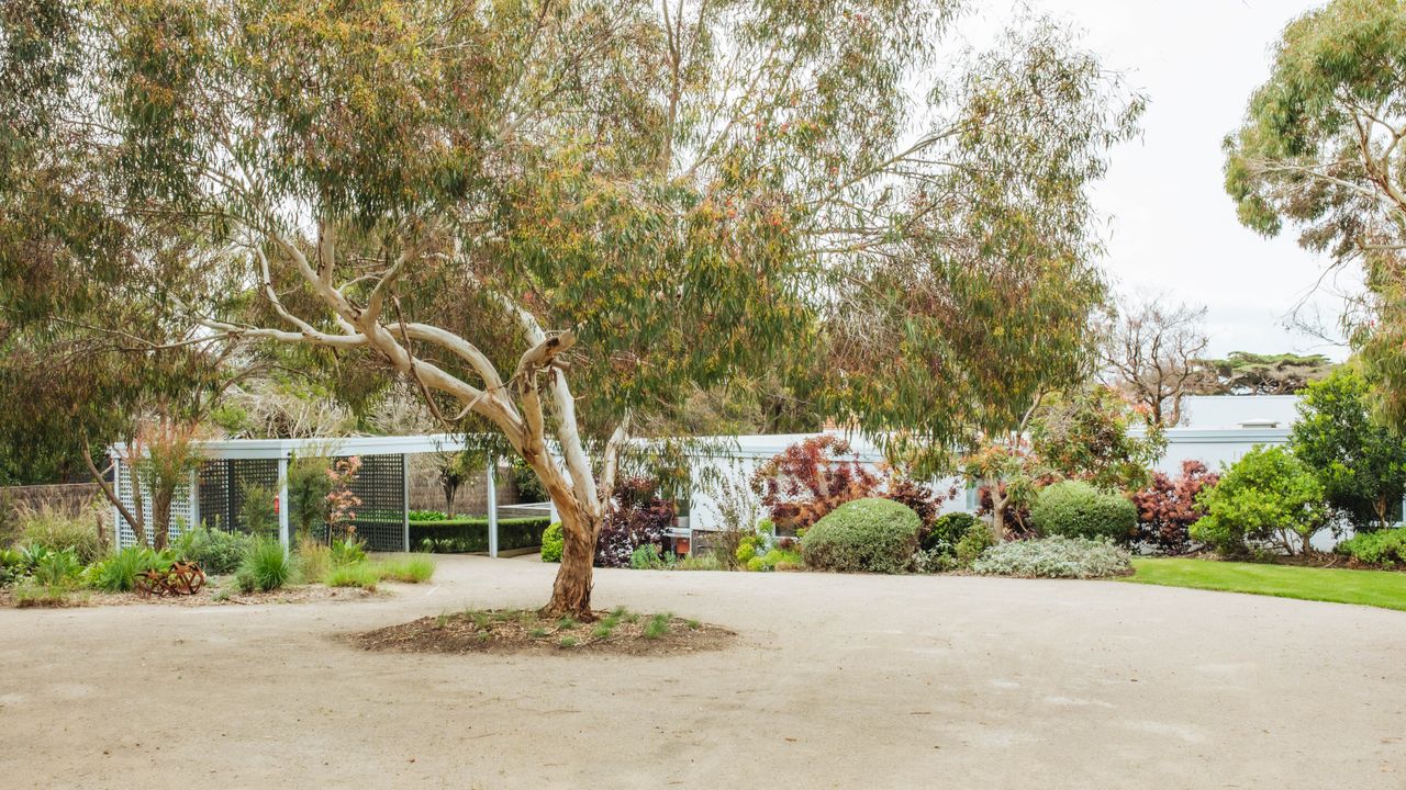 Flinders Garden House Photo 30