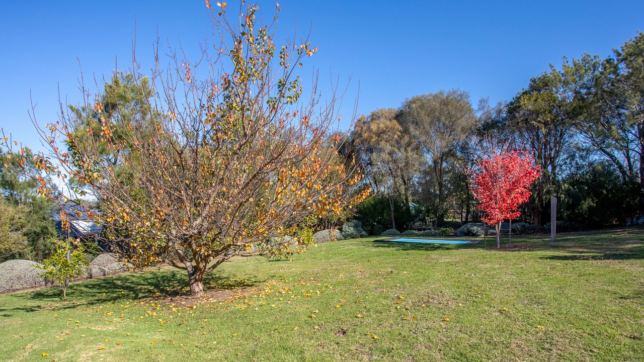 Silvertop House Photo 37
