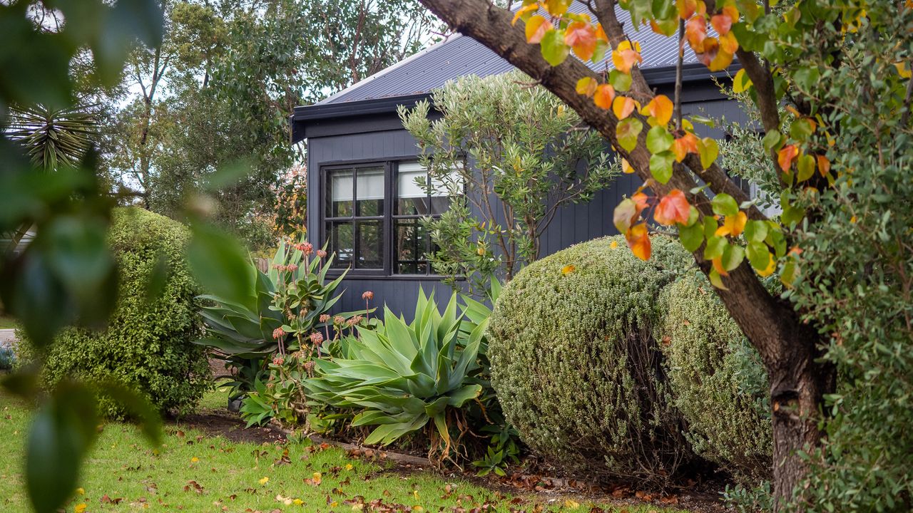 Lomond Cottage Photo 11
