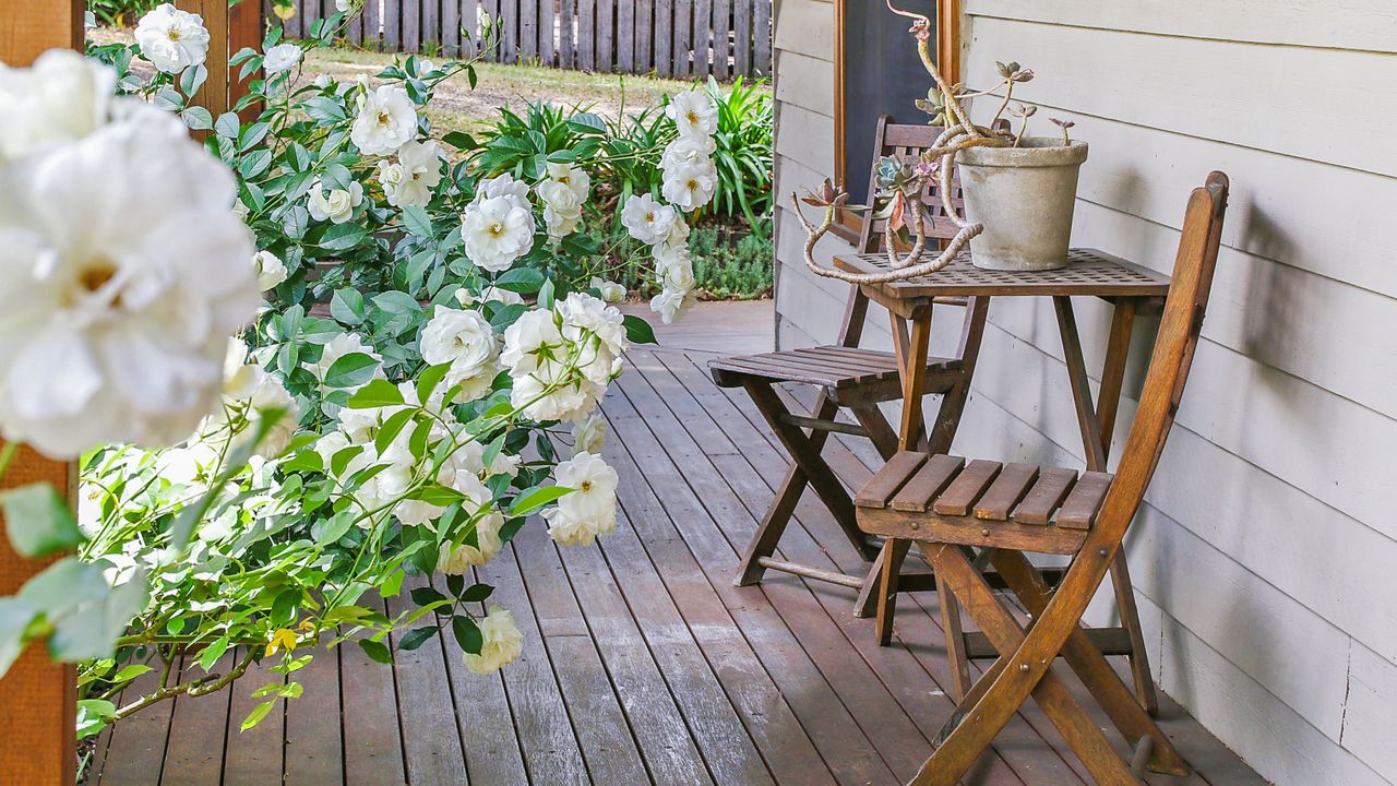 Spring Creek Cottage