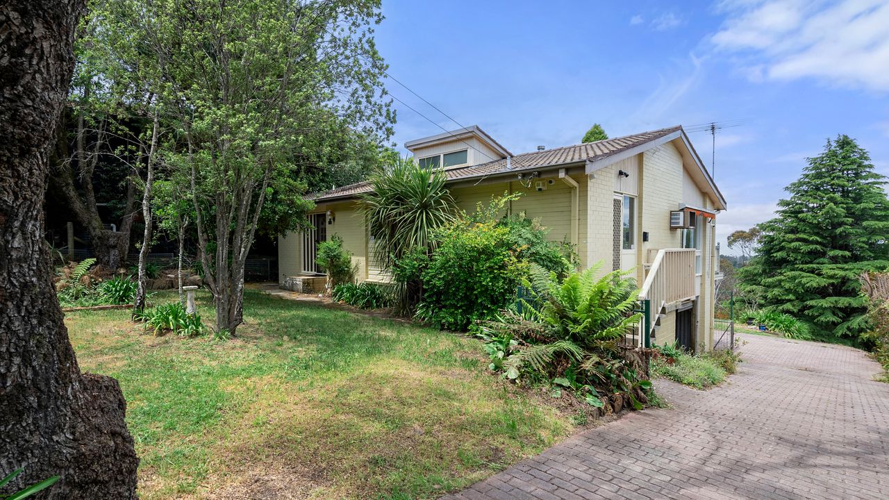 Narrow Neck Hideaway