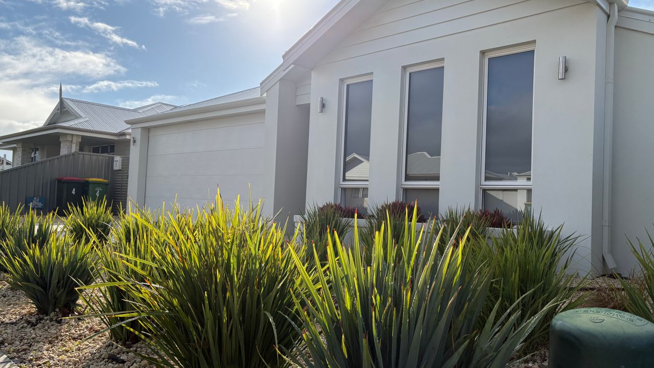 Whale of a Time – Vasse