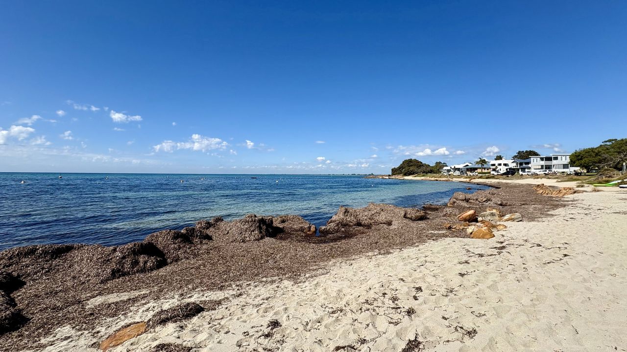 Dunsborough Delight