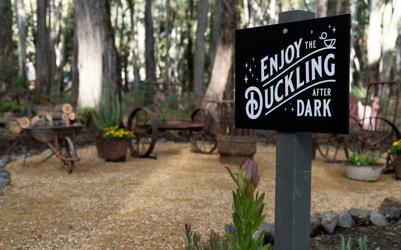 The Duckling