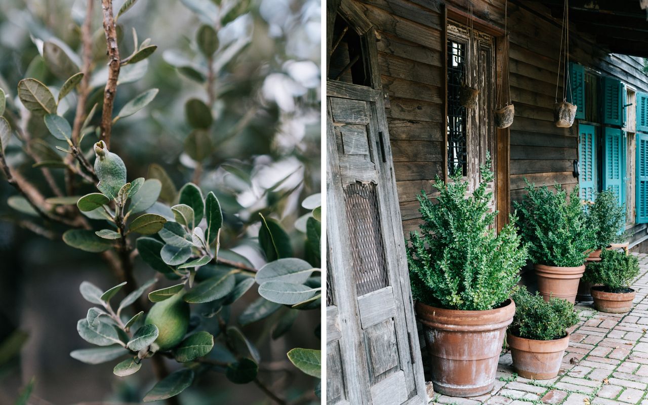 The Barn Daylesford