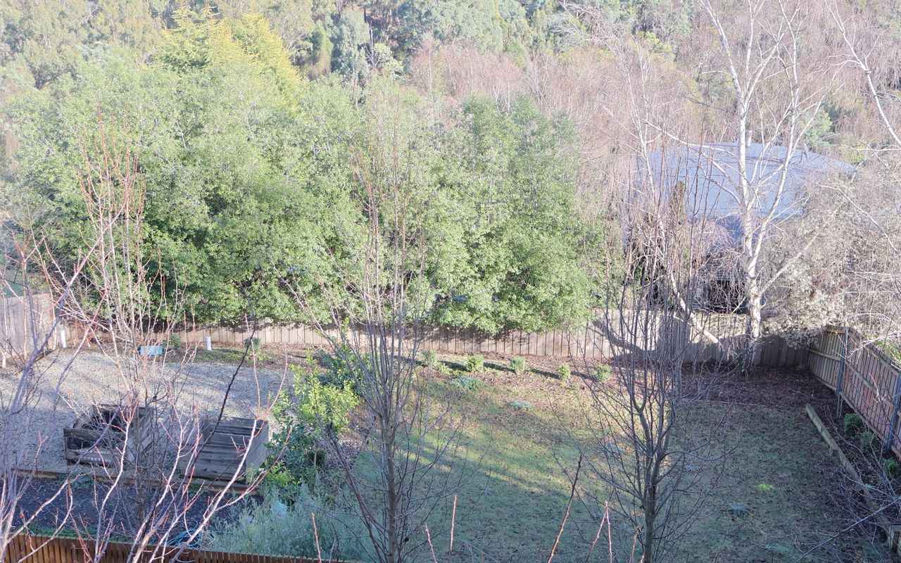 Tree Top Treasure, Launceston ITAS