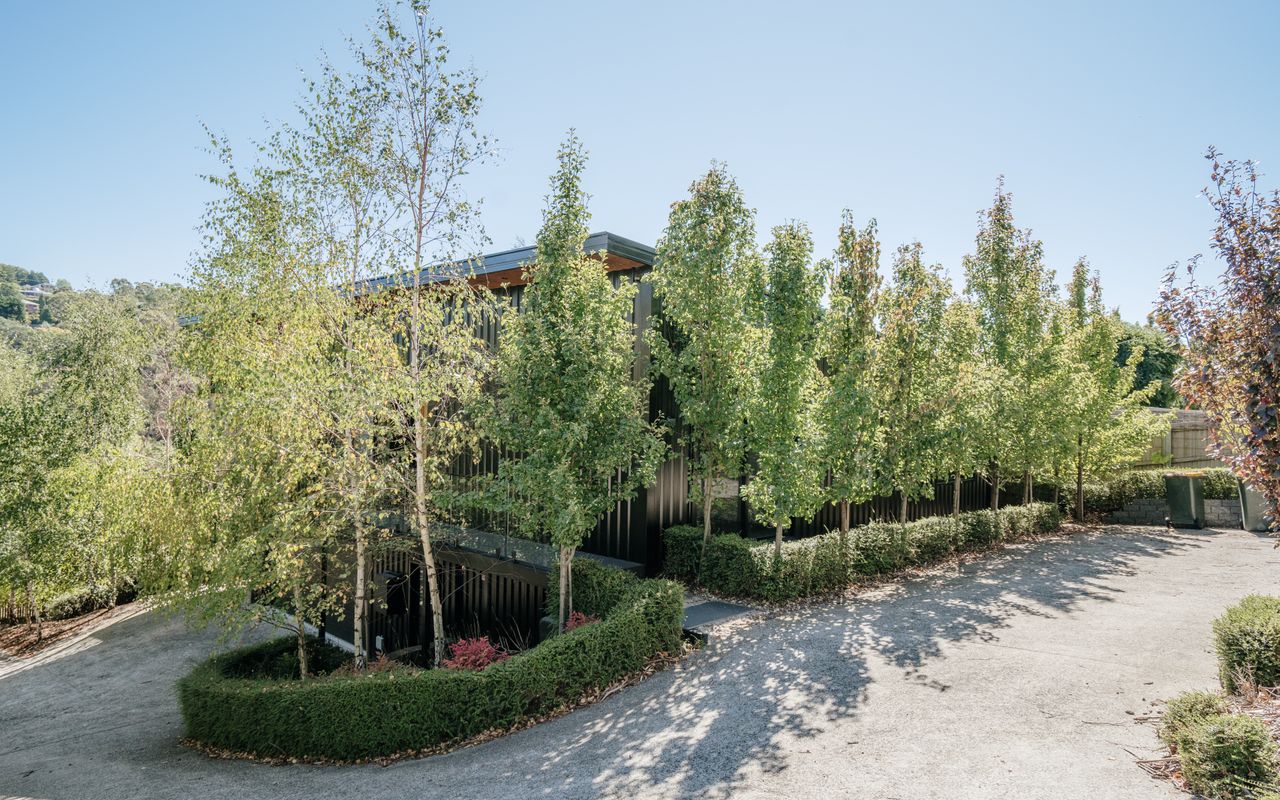 Tree Top Haven ITAS