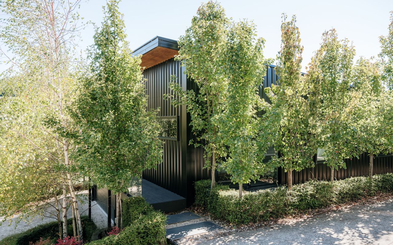 Tree Top Haven ITAS