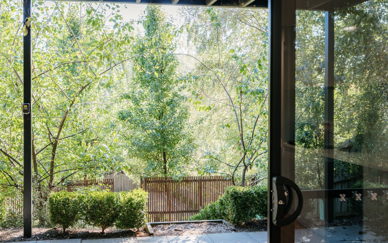 Tree Top Studio ITAS
