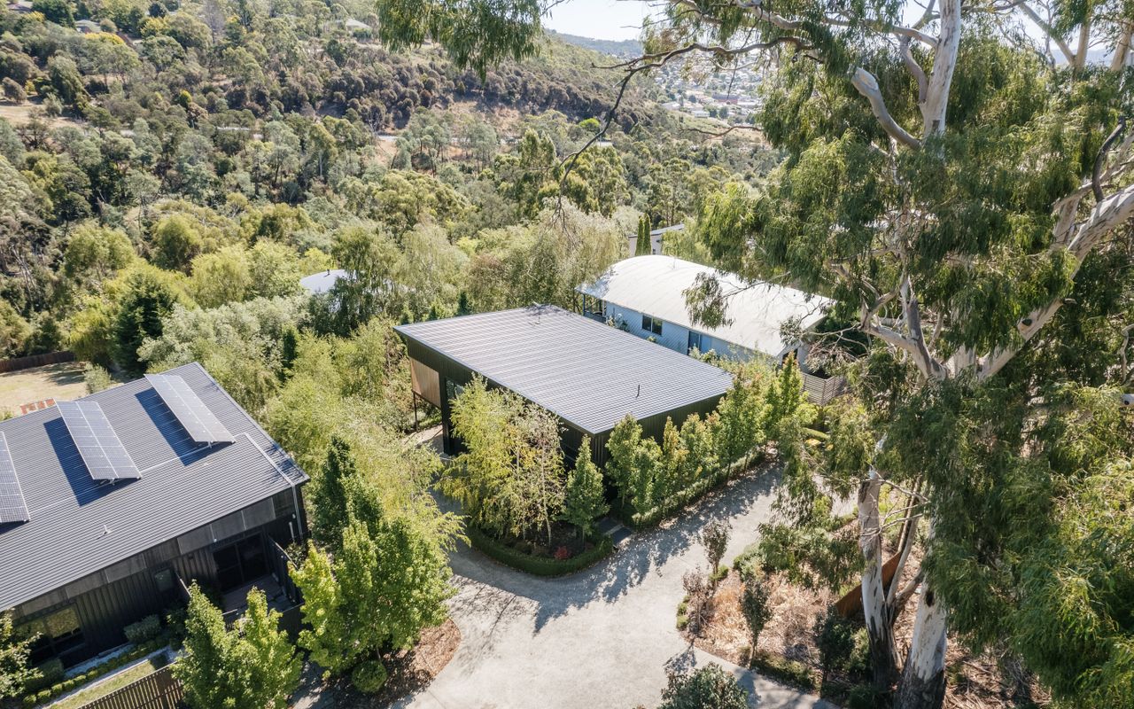 Tree Top Studio ITAS