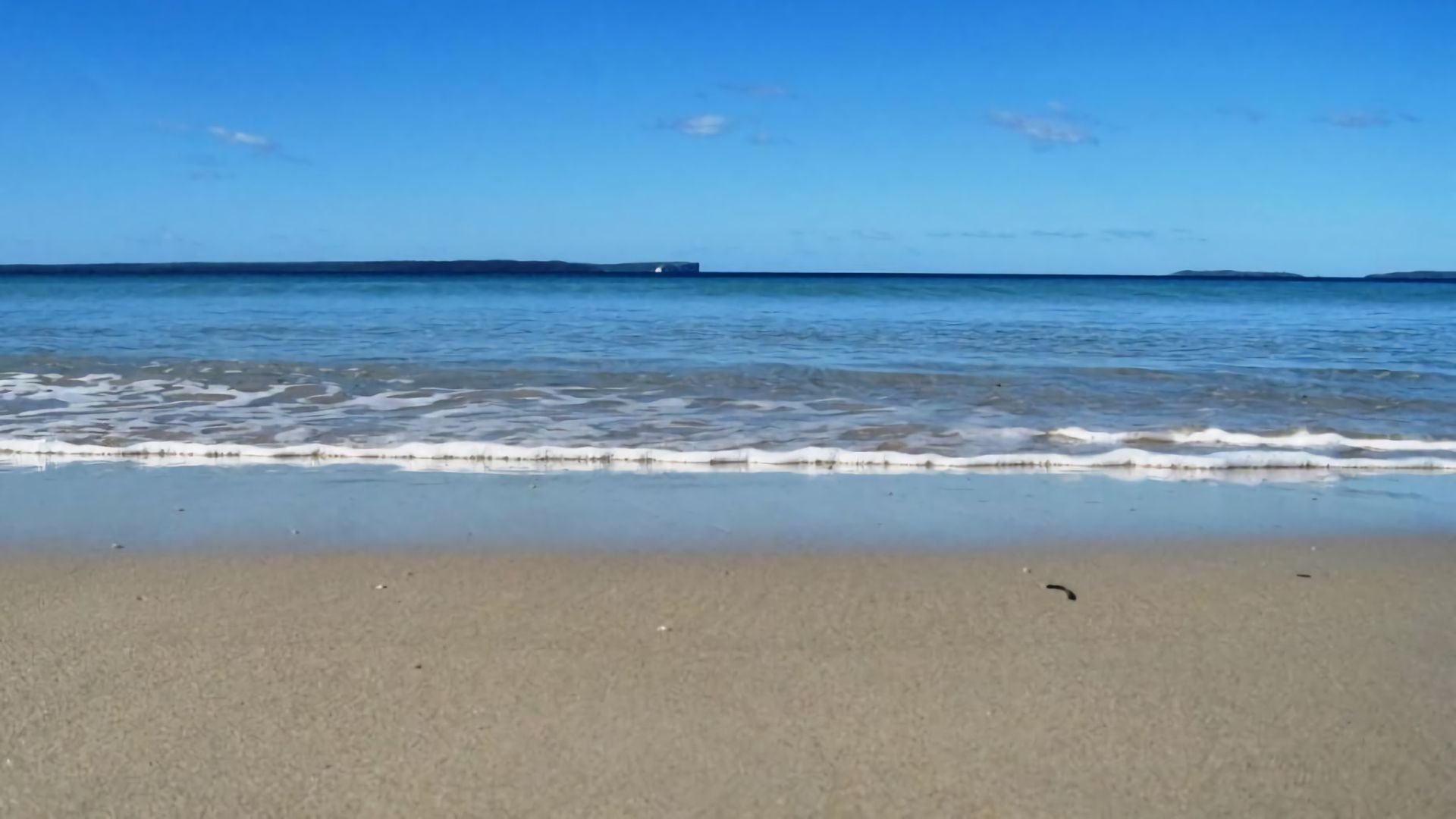 Jervis bay sales dog friendly accommodation