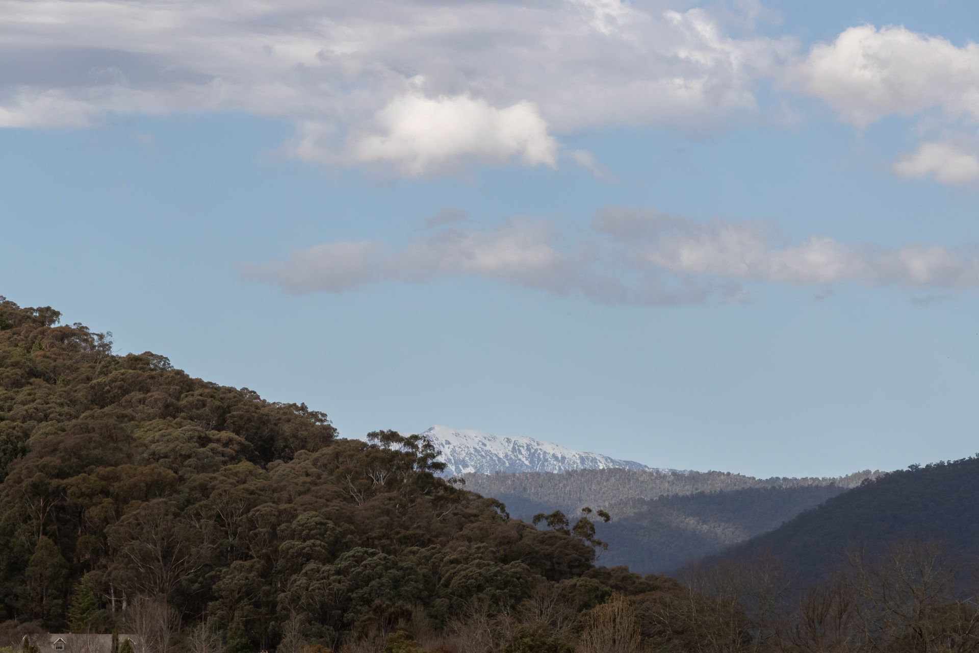 Balcony to Bogong – modern house ten minute stroll to town