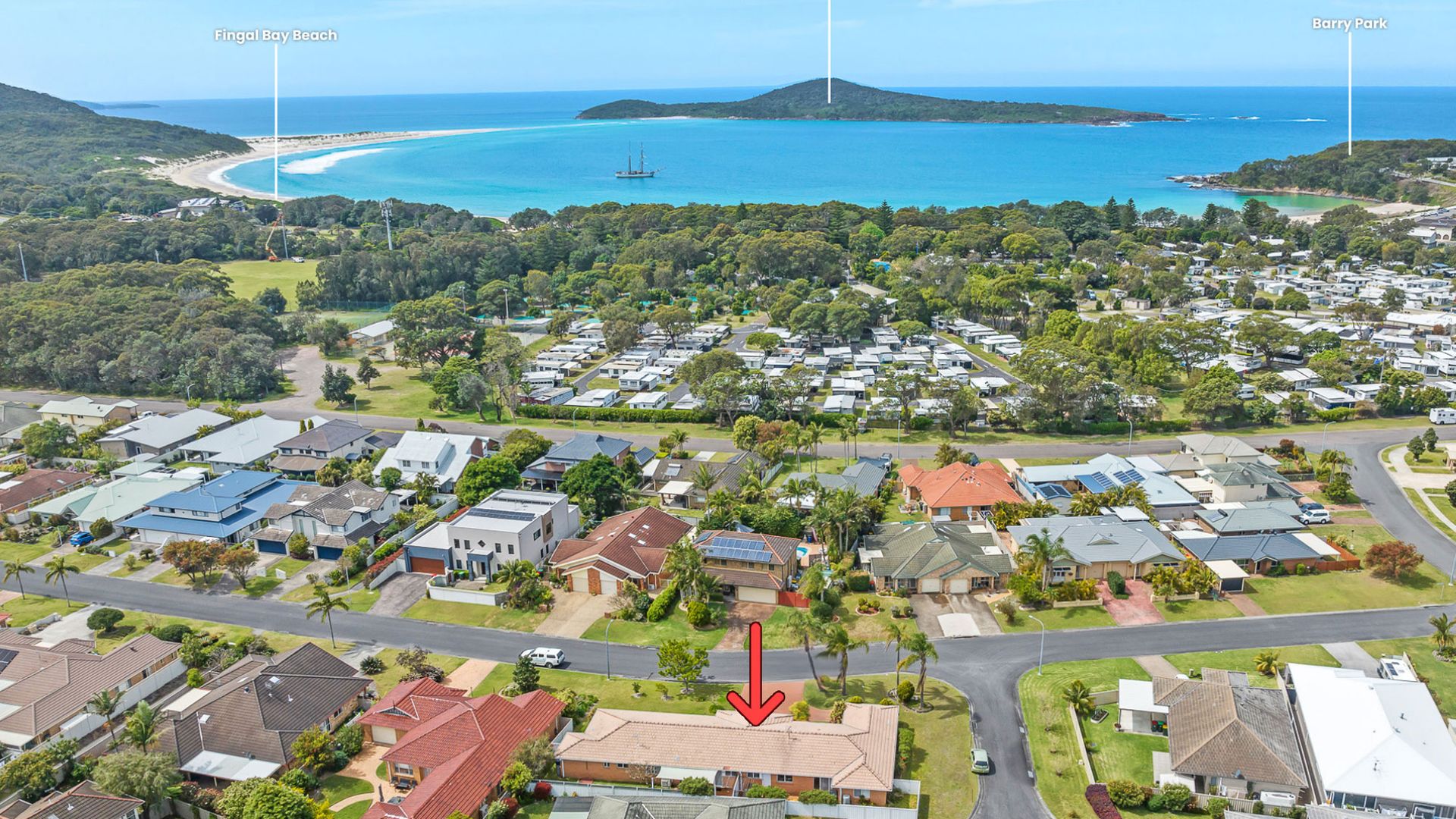 Fingal Palms