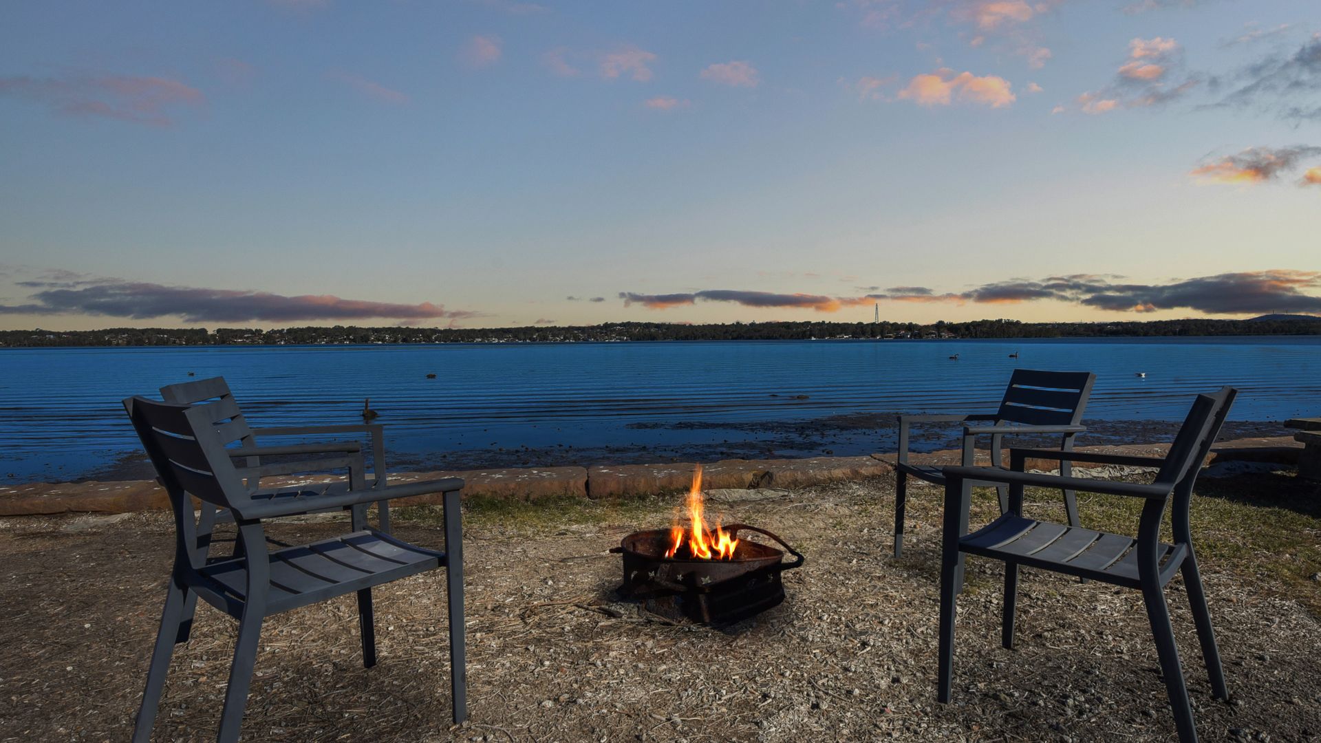 Lake Palm Resort Luxury Retreat absolute Waterfront on 3 acres at Lake Macquarie.