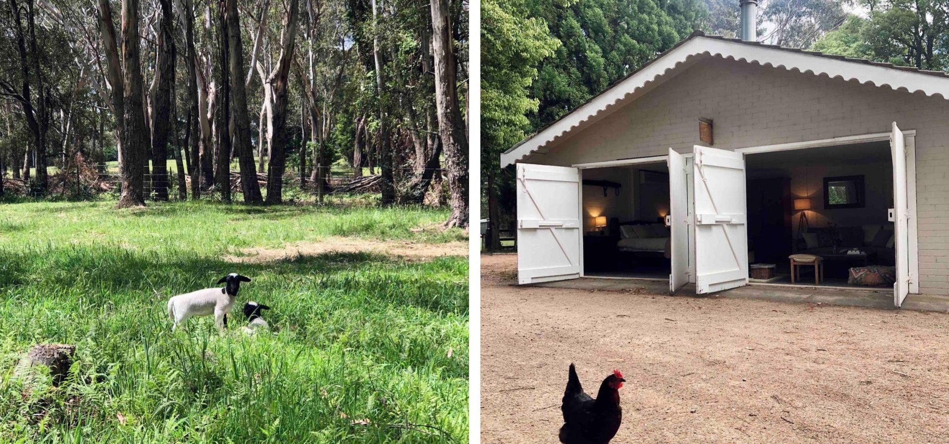Annies Barn, Fitzroy Falls