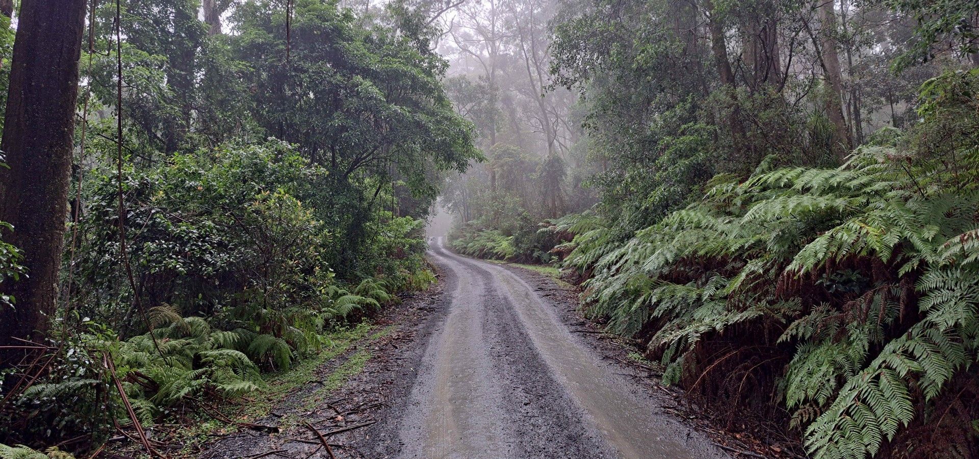 Red Rocks Mountain Retreat, Browns Mountain, Kangaroo Valley