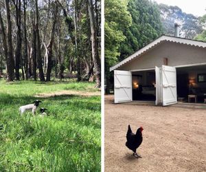Annies Barn, Fitzroy Falls