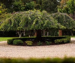Avonlea, Bowral, Southern Highlands