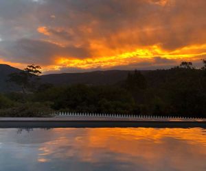 Birdsong, Kangaroo Valley