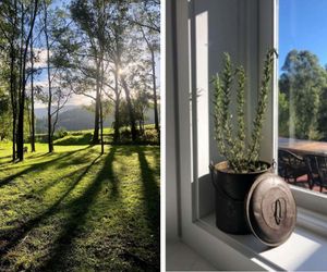 Birdsong, Kangaroo Valley