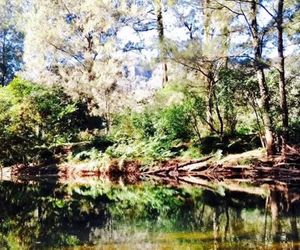 Lavender Hill, Kangaroo Valley
