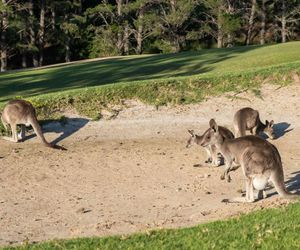 Villa 27 Kangaroo Valley Golf Course, Kangaroo Valley