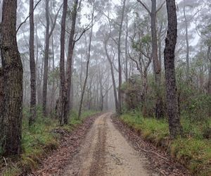 Red Rocks Mountain Retreat, Browns Mountain, Kangaroo Valley