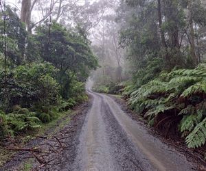 Red Rocks Mountain Retreat, Browns Mountain, Kangaroo Valley