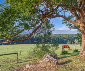 Cally Mill Farm, Kangaroo Valley