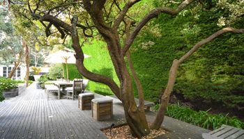 Hedge House