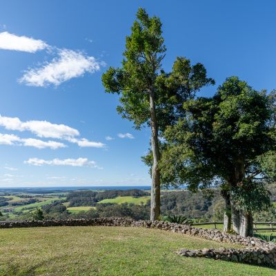Flametrees