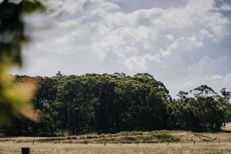 Cooper’s Hill
