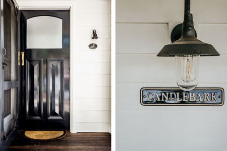 Candlebark