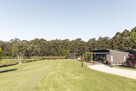 Wombat Edge