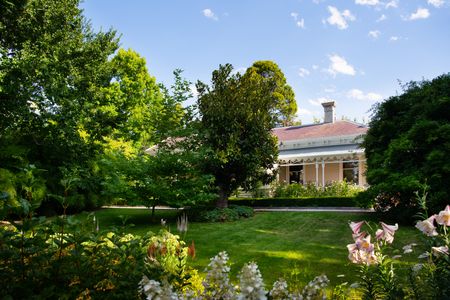 The Lawns