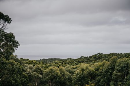 Alkina Lodge 2
