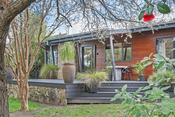 Millie + Pips = exceptional place to stay
