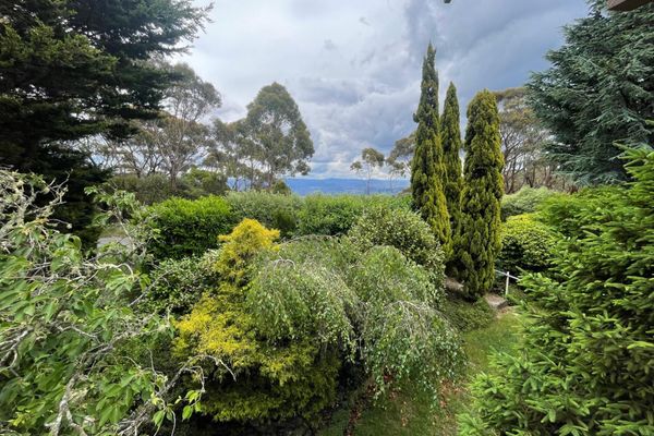 Heart of the Blue Mountains