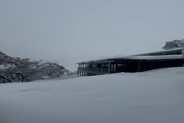 SKI VIEW 2