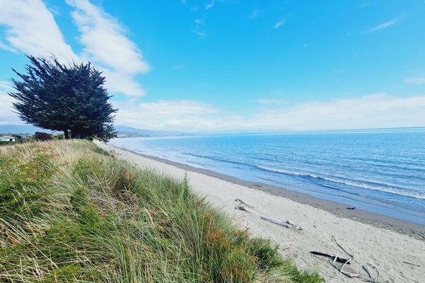 Beachside Bliss