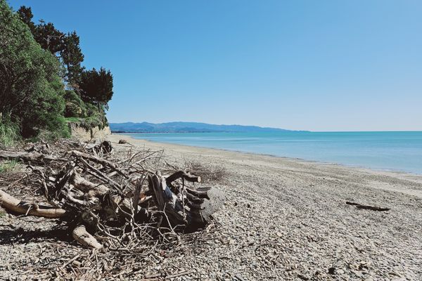D’Urville House Seaside Escape