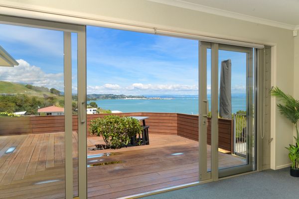 Sea Views and Sunsets in Nelson
