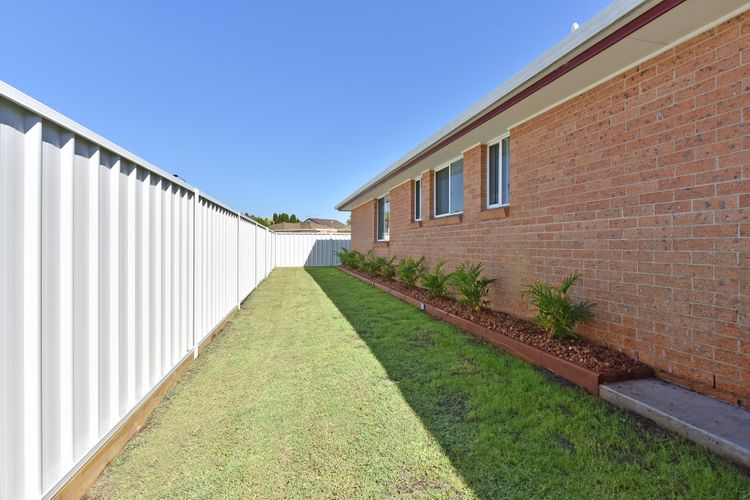 Fingal Palms