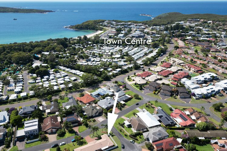 Fingal Palms