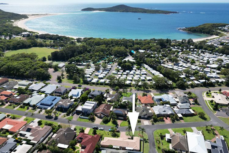 Fingal Palms